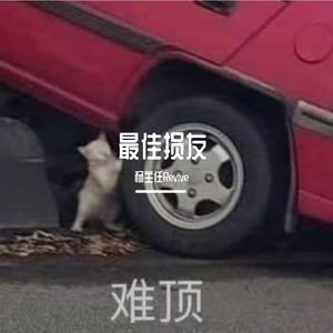 爱在记忆中找你（翻自 群星）