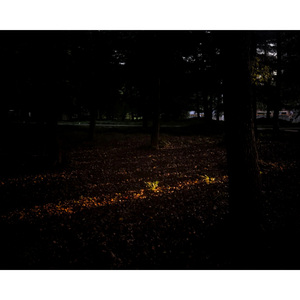 All I want for Christmas is U