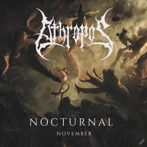 Nocturnal November