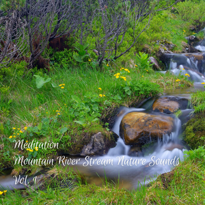 Gamma Waves for Study Focus