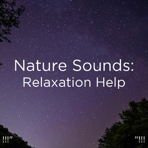 수면을위한 바다의 소리