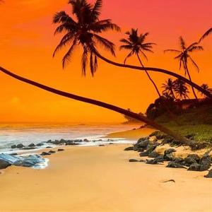 Plan B[prod by Ljx Ghost]