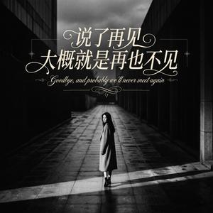 说了再见大概就是再也不见