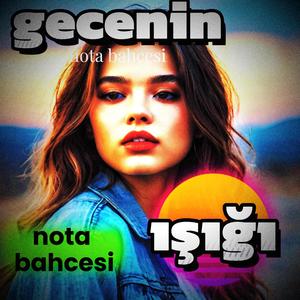 Gecenin ışığı