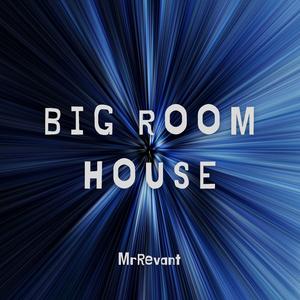 Big Room House