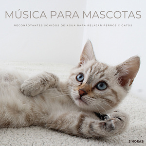 Música Para Mascotas: Reconfotantes Sonidos De Agua Para Relajar Perros y Gatos - 3 Horas
