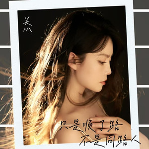 只是顺了路 不是同路人