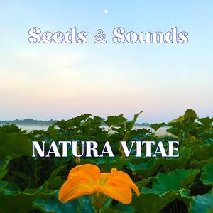 Seeds and Sounds (feat. Luis Canción)