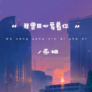 我曾用心爱着你 (伴奏)