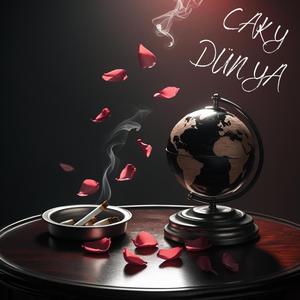 DÜNYA