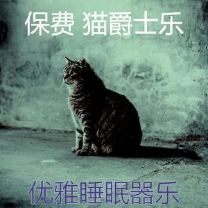 诗意的猫在家节奏
