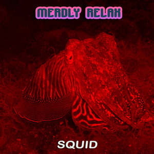 Squid