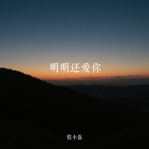 明明还爱你