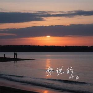 你说的 (Cover 洋澜一)