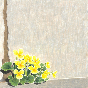 스치듯 다시 만나요