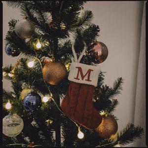 Have Yourself a Merry Little Christmas（Acoustic.）（翻自 Sam Smith）