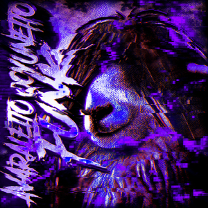 AVARALETTO QOYUNETTO FUNK