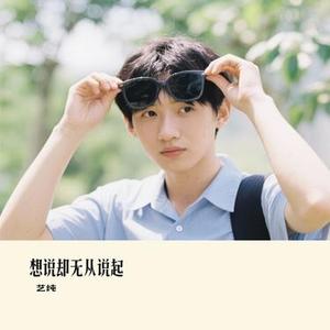 想说却无从说起