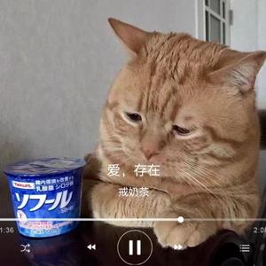 爱，存在(520特别版)