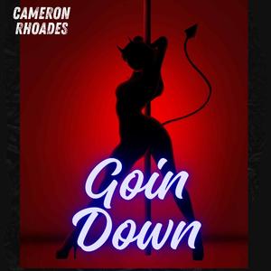 Goin' Down (feat. Seth Stewart, Jordan Crane, Randy Lofland, Travis McCoy & Christopher Lee)