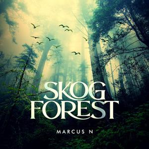 Skog