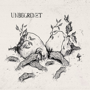 Unbegrenzt