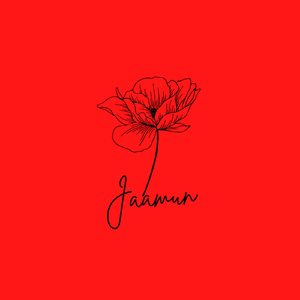 Jaamun