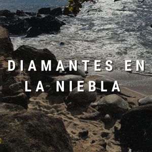 Diamantes En La Niebla