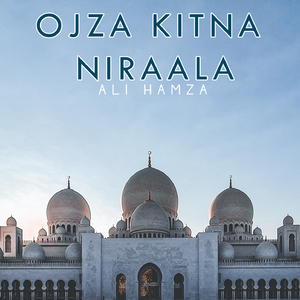 Ojza Kitna Niraala