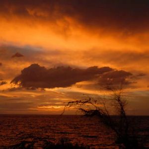 一朵花的留香 伴奏