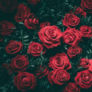 会是你的谁（HA1F remix）