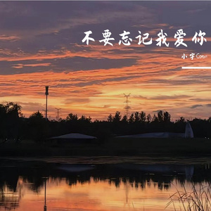 不要忘记我爱你