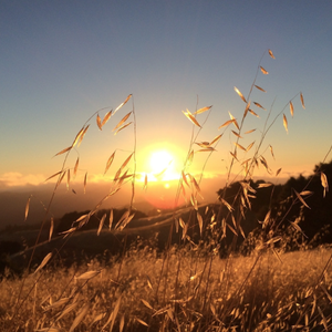 你爱我吗？（翻自 伍家辉）