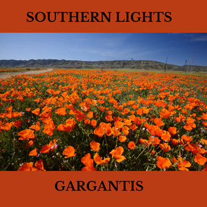 SOUTHERN LIGHTS