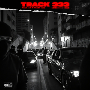 Track 333