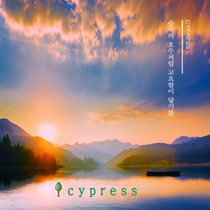 햇살을 닮은 너에게