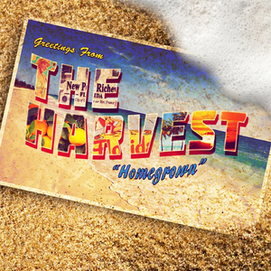 Rise and Fall of Chrome