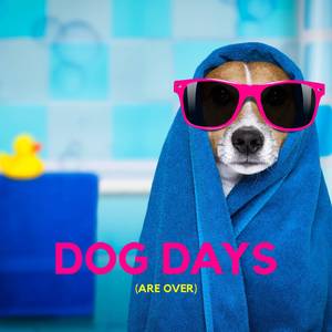 Dog Days