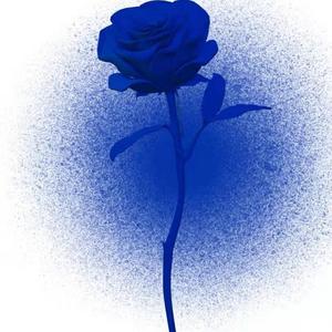 蓝蔷薇