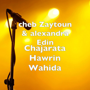 Chajarata Hawrin Wahida