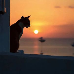 像我这样的人 伴奏