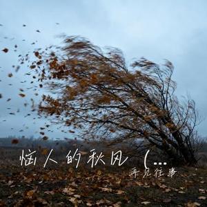 恼人的秋风 (Live) (Cover 那英)