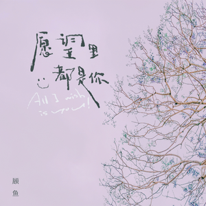 愿望里都是你