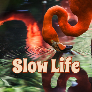 Slow Life