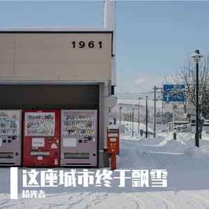这座城市终于飘雪