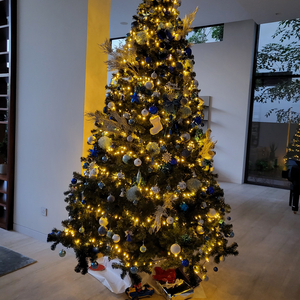 Nieuwjaars "Freestyle"