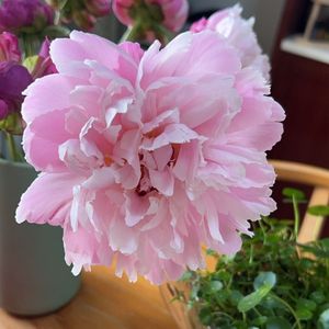 妈妈，你是我的光