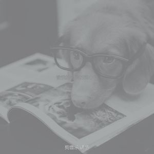 有趣训练犬情怀