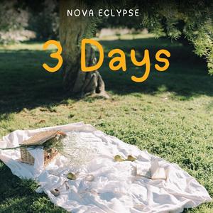 3 Days