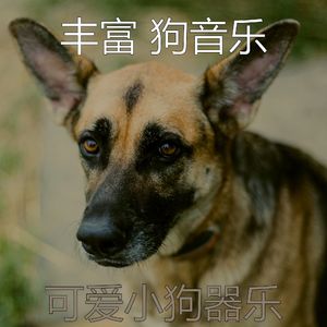 温和可爱的狗梦想